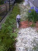 クリックで拡大表示 ( .jpg / 20.9KB )