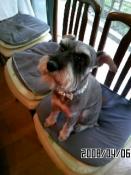 NbNŊg\ ( .jpg / 21.5KB )